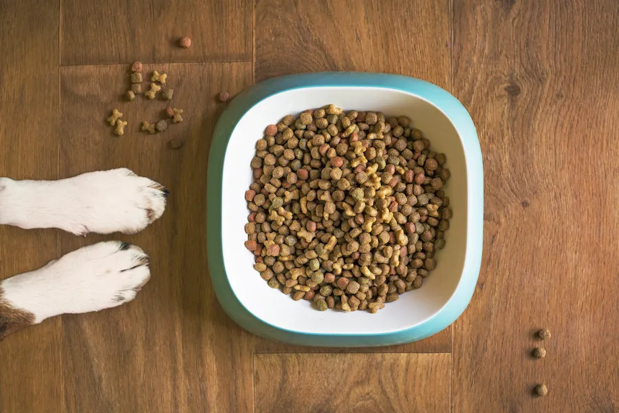 mattycoulton-dog-food